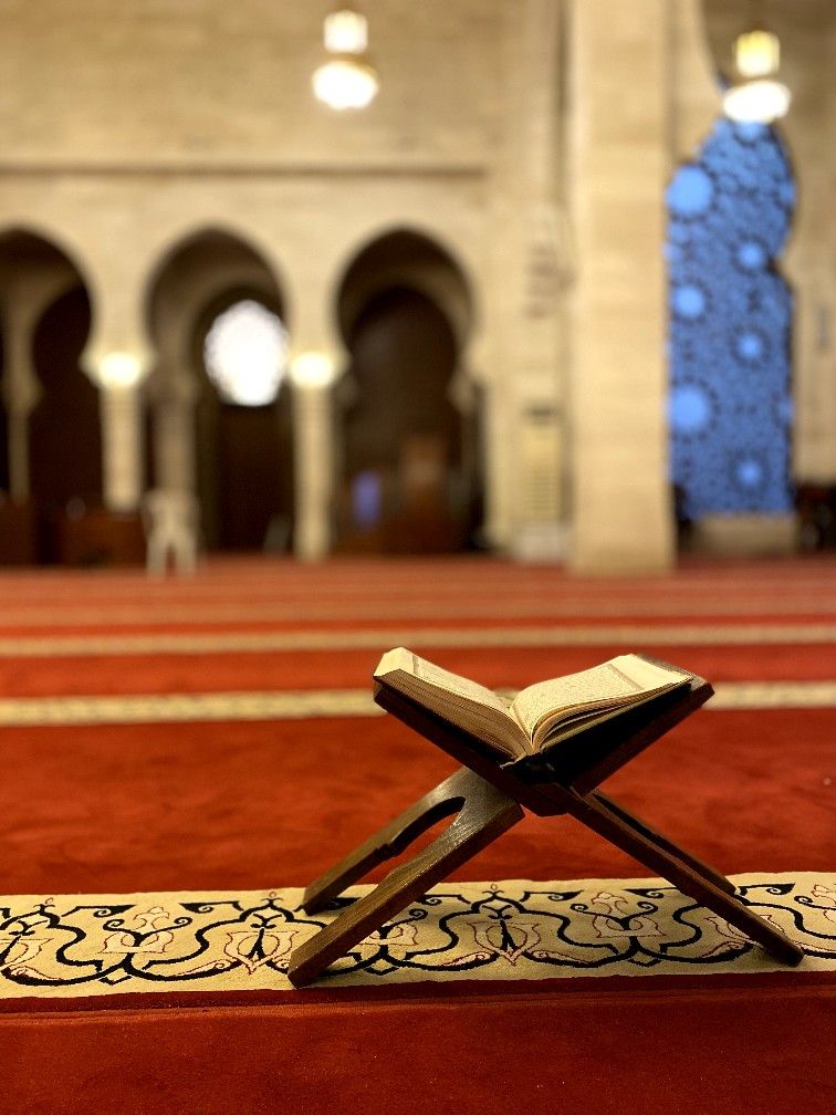 احكام الزكاه